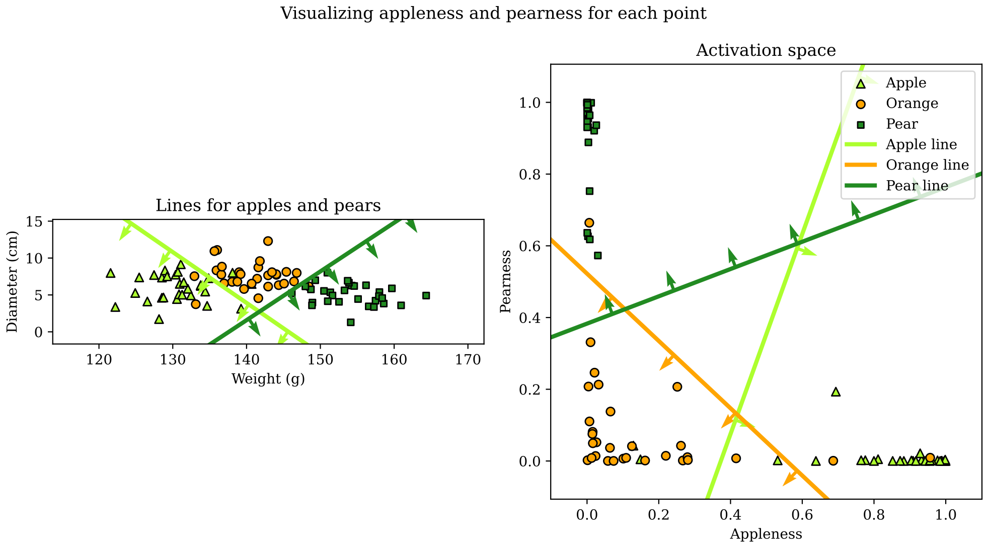 The activation space with decision boundaries respective to each class