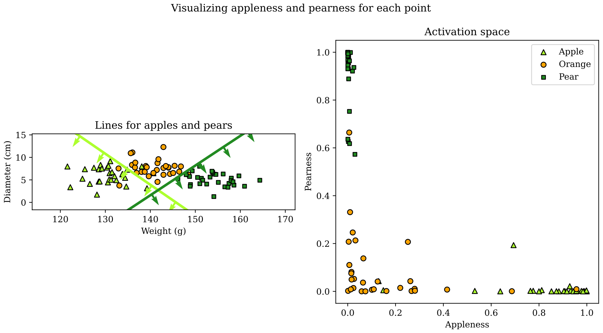 The dataset alongside a plot of the activations for each data point
